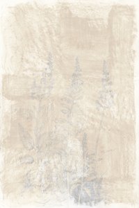 Blekta botaniska skisser av cartissi