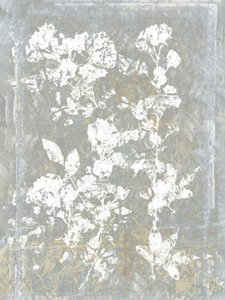 Blek blomsterkontur av cartissi