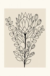Minimalistisk protea och eukalyptus av cartissi