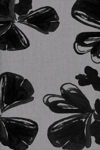Moderna svarta blommor av cartissi