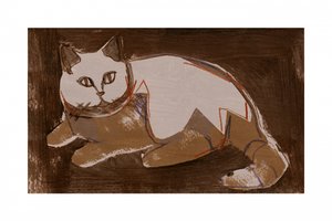 En modern katt vilar av cartissi