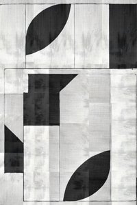Modernt geometriskt monokromt av cartissi