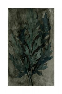 Stämningsfulla botaniska blad av cartissi