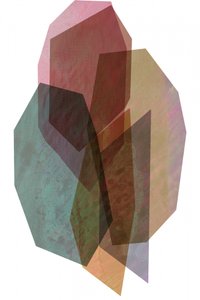 Dämpade geometriska lager av cartissi
