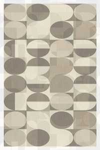 Neutrala geometriska cirklar av cartissi
