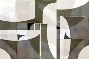 Neutralt geometriskt flöde av cartissi