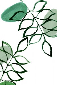 Ekologiska gröna blad av cartissi