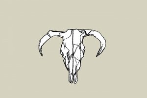 Rustic Bull Skull av cartissi