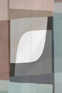 Mjukt geometriskt flöde av cartissi