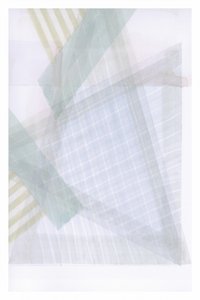 Mjuka geometriska lager av cartissi