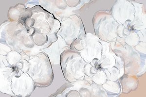 Mjuka vita blommor av cartissi