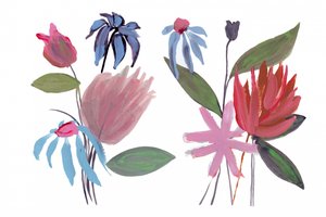 Färgsprakande abstrakta blommor av cartissi