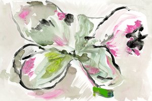 Livfull blomsterskiss av cartissi