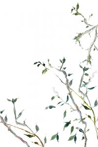 Akvarellmålning av gröna blad av cartissi
