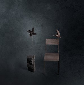 Mörk fågel, tom stol
