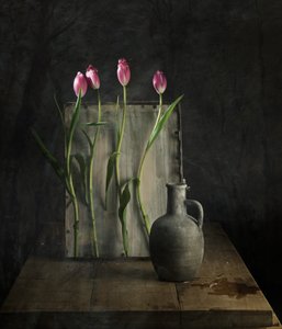 Stilbild med rustika tulpaner av chenyi wang