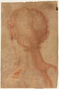 Mans huvud bakifrån av copy after Agnolo Bronzino