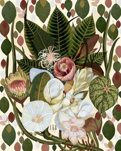Tropisk botanisk bukett av giovanna nicolo
