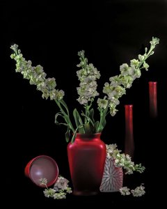  av jlloydphoto