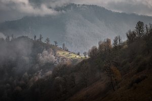 Lugnet i Misty Mountain av nima.zadshir