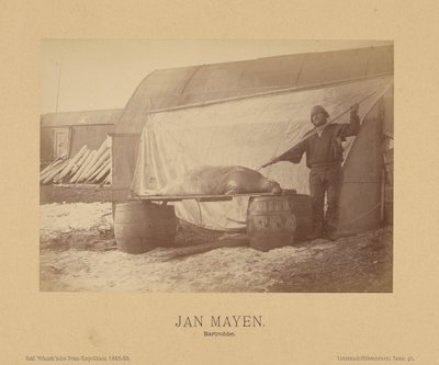 Jan Mayen, Bartrobbe av (Linienschiffs Lieutenant) Richard Basso