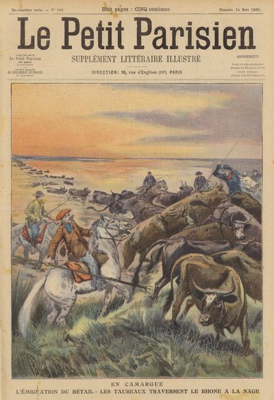 Migration av boskap i Camargue: en flock tjurar som simmar över floden Rhone (färg litho) av (after) Carrey