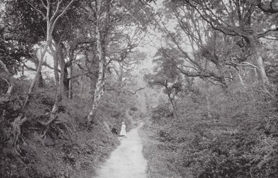 Fairlight Glen (svartvitt foto) av (after) English photographer