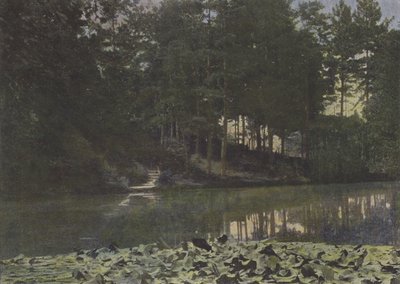 Bois de Boulogne, Reservoaren (färgad bild) av (after) French Photographer