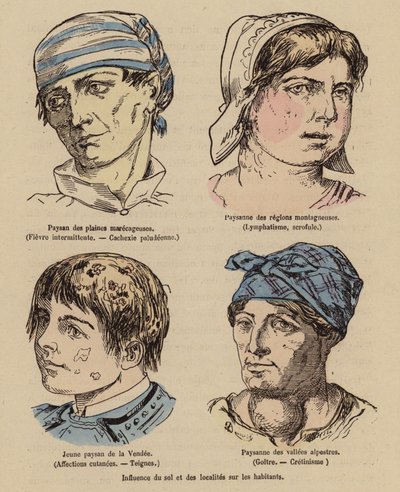 Solens och det geografiska lägets inverkan på människor (kolorerad gravyr) av (after) French School