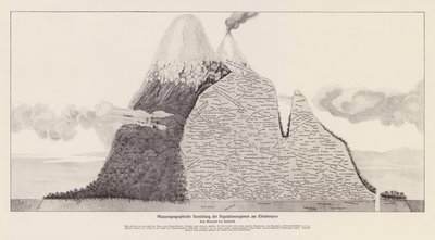 Vegetationsregioner i Chimborazo, Ecuador (litografi) av (after) German School