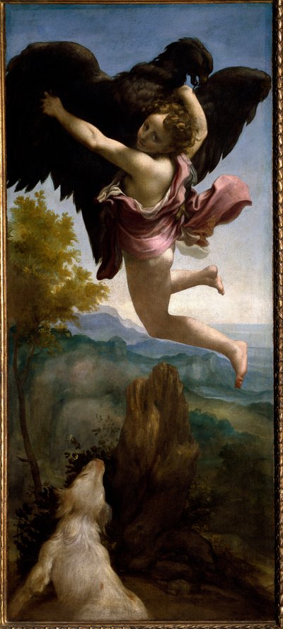 Bortförandet av Ganymedes (målning, ca 1531) av (c.1489 1534) Correggio