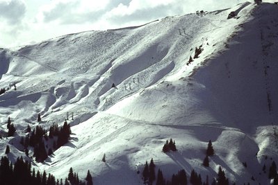 Snöig sluttning av Detlef B. Fischer
