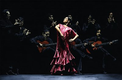 Stolt flamencodansare av Richard Young