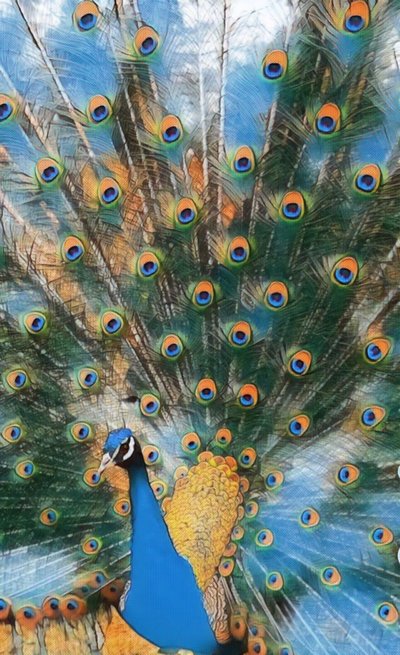 Pavo Real. av Margareta Uliarte