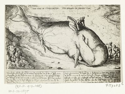 Tryck av den spolade valen nära Antwerpen, 2 juli 1577 av A.B. van Deinse