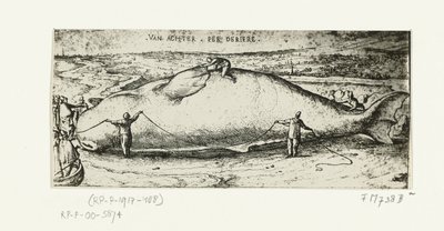 Tryck av den spolade valen nära Antwerpen, 2 juli 1577 av A.B. van Deinse
