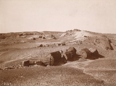 I den förstenade skogen (General View, Middle Park) av A.C. Vroman