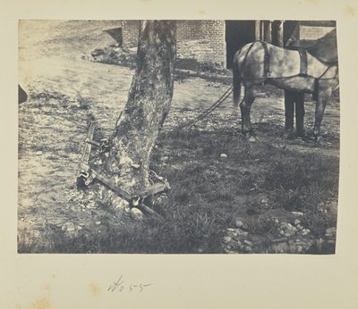 Bryta och böja rälsen runt trädet av A.J. Russell