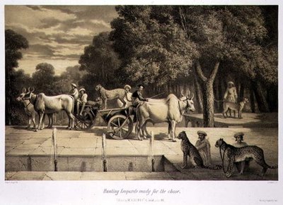 Jaktleoparder redo för jakten, från "Voyage in India", graverad av puben Louis Henri de Rudder (1807-81). i London av A. (after) Soltykoff