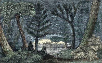 Förhistoria: karakteristiskt landskap med träsk och skog av A. Demarle