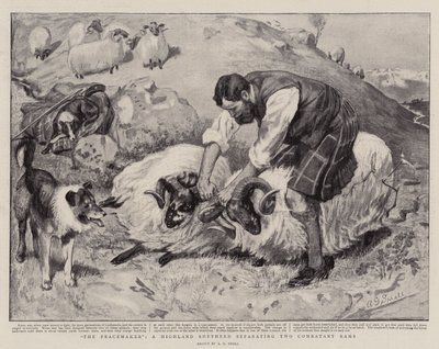 The Peacemaker, en Highland Shepherd som separerar två stridande baggar av A. G. Small