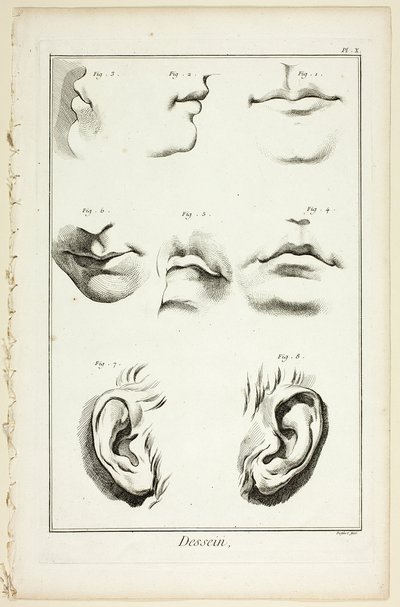 Design: Facial Anatomy från Encyclopédie av A. J. Defehrt