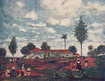 Kaffegården, 1916 av A. S. Forrest