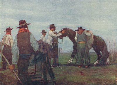 Gauchos bryter in en ung häst, 1916 av A. S. Forrest