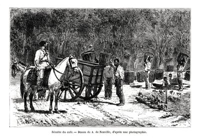 Skördar kaffet, Brasilien, 1800-talet av A. de Neuville