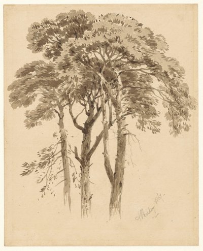 Studie av tre tallar av Aaron Edwin Penley
