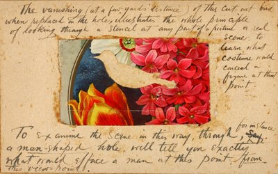 Bird Stencil, studiemapp till boken Concealing Coloration in the Animal Kingdom av Abbott Handerson Thayer