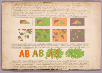 Diagramm und Kupferkopfschlange, Studienmappe für das Buch Concealing Coloration in the Animal Kingdom av Abbott Handerson Thayer