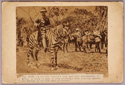 Horse and Cruiser Camouflaged, studiemapp till boken Concealing Coloration in the Animal Kingdom av Abbott Handerson Thayer