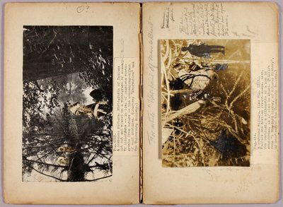 N. American Indians, studiemapp för boken "Concealing Coloration in the Animal Kingdom" (dolda färger i djurriket) av Abbott Handerson Thayer